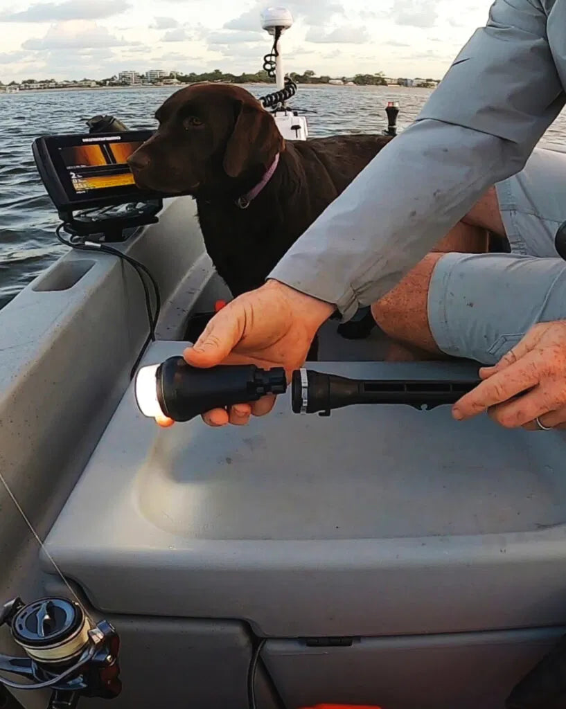 Les missions de nuit ne tolèrent pas les raccourcis, tout comme le NaviPack.

Ce kit d'éclairage de navigation tout-en-un comprend la lumière blanche tout autour Illuminate i360, une lumière d'arc bicolore, un ExtendaPole 1000 et un système de montage compatible StarPort qui est prêt à être monté dès la sortie de la boîte.

Que vous soyez sur un kayak, un canoë, un bateau ou un gonflable, le NaviPack répond aux normes USCG 2NM pour les bateaux de moins de 12 mètres et s'installe sans un seul trou percé.